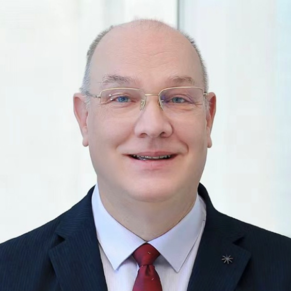 Professor Dr. James P. Lewis